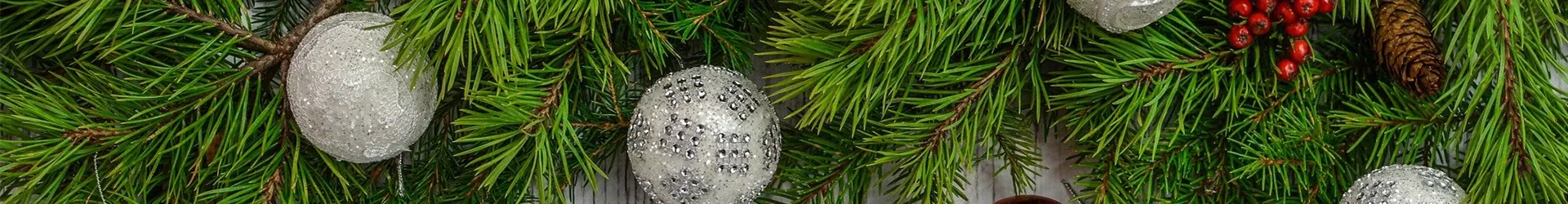 christmas-2937873_1920 christmas-2937873_1920