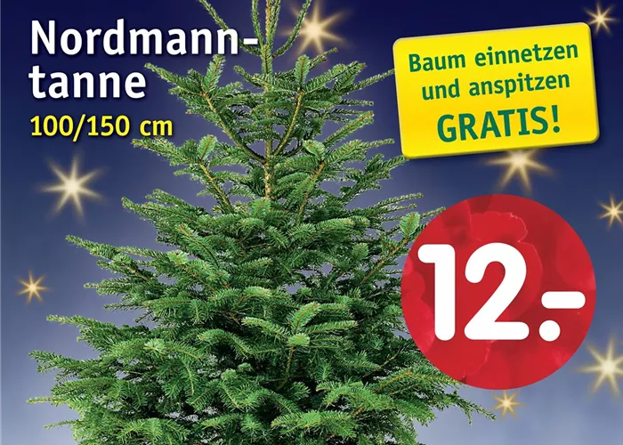 Nordmanntanne 100 - 150cm Nordmanntanne 100 - 150cm