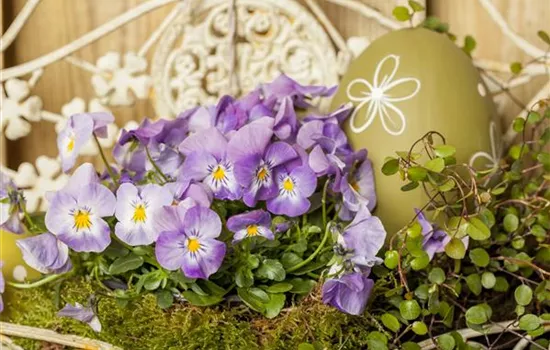 Ein buntes Osterfest mit den passenden Frühlingsboten Ein buntes Osterfest mit den passenden Frühlingsboten