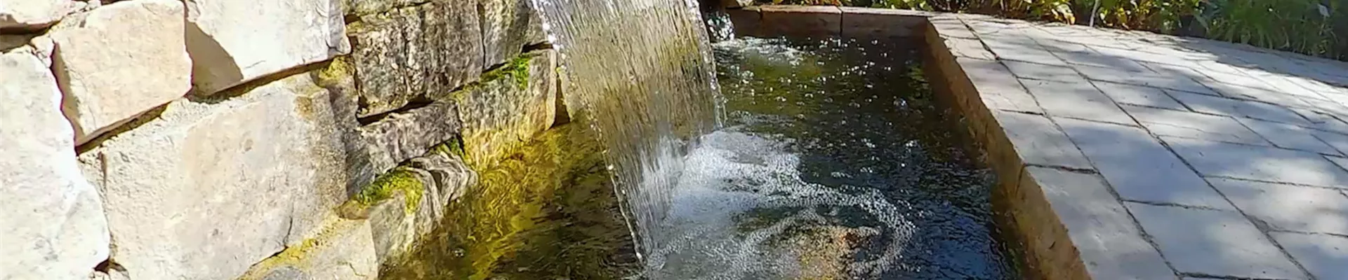 Gartengestaltung - Skulpturengarten (thumbnail)