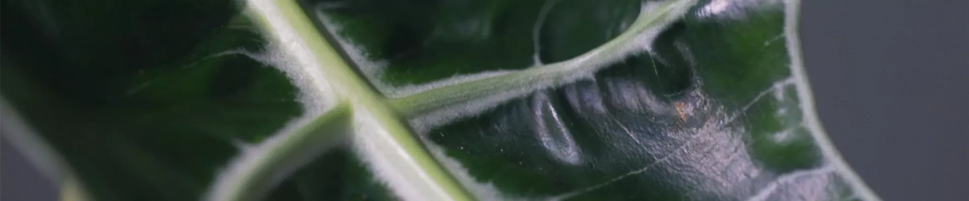 Ashampoo_Snap_Donnerstag, 23. Juni 2022_11h51m45s_003_