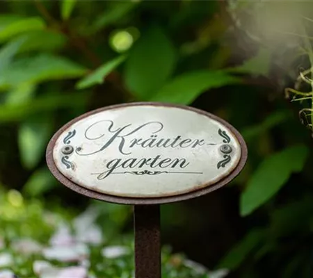 Ernte ohne Garten - Im duftenden Kräutergarten auf dem Balkon