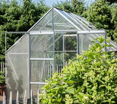 Ob groß oder klein: Gewächshäuser bereichern jeden Garten