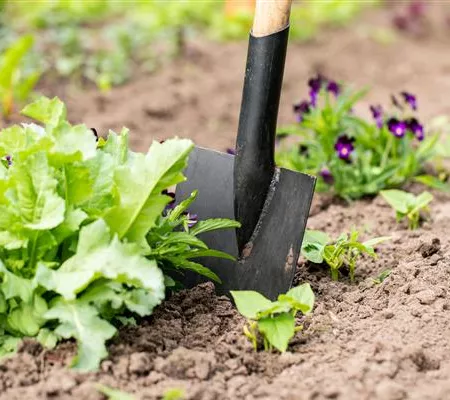 Hilfreiches und praktisches Zubehör zum Gärtnern