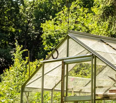 Kleine Gewächshäuser für kleine Gärten