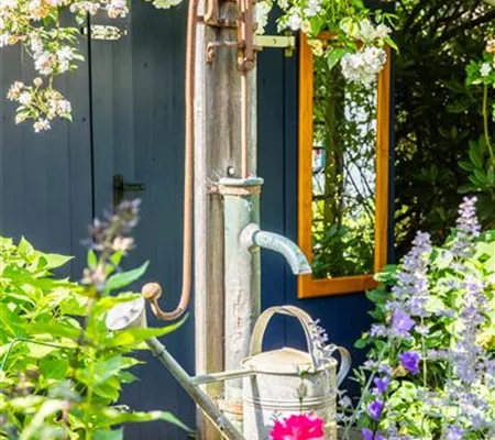 So einfach kann die Gartengestaltung mit Gartenpflanzen sein