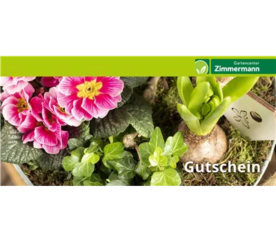 Individueller Gutschein Individueller Gutschein