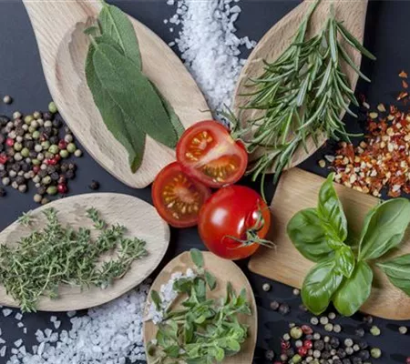 Küchenkräuter schmecken frisch von der Fensterbank am besten